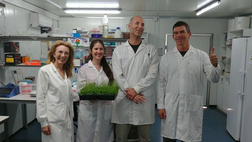 Startup “PlantArcBio” descubre genes para cultivos tolerantes a la sequías
