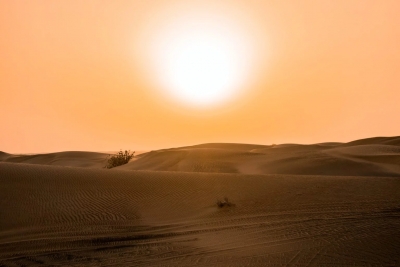 Confirman que julio fue el mes más caluroso en la Tierra en 10.000 años