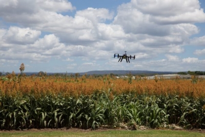 Una compañía israelí inventa un dron que recoge la cosecha