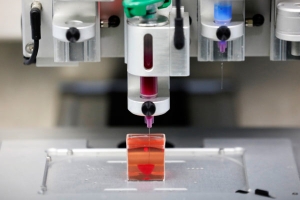 Investigadores israelíes hacen con tejido humano en una impresora 3D un corazón que palpita