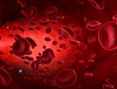 Científicos alteran el tipo de sangre del riñón, lo que podría aumentar la chance de trasplantes